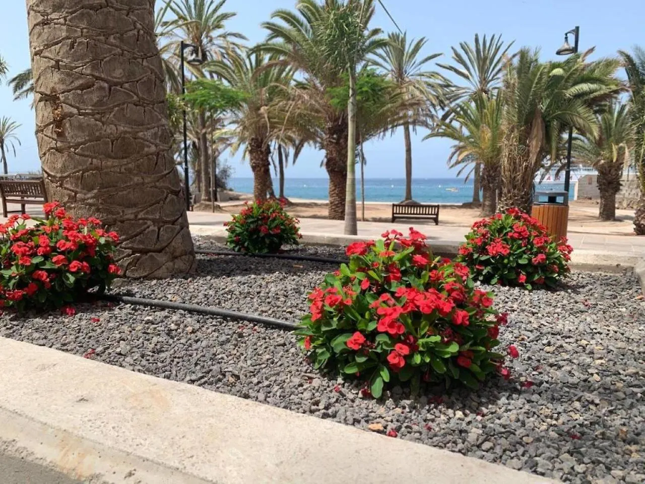 Royal View Apartment - Los Cristianos 0*, Los Cristianos (Tenerife) Spain